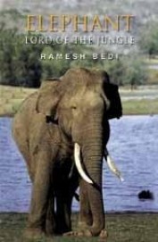 NBT English ELEPHANT : THE LORD OF THE JUNGLE