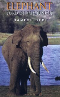 NBT Hindi ELEPHANT : THE LORD OF THE JUNGLE