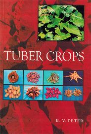 NBT English TUBER CROPS