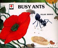 NBT English BUSY ANTS