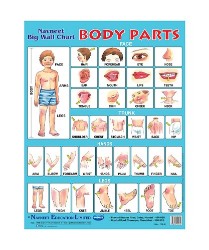 Navneet Body Parts