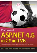 Wileys Professional ASP.NET 4.5 in C# and VB