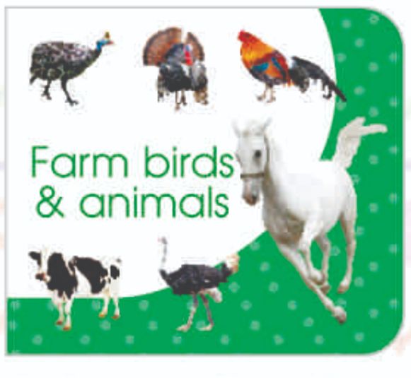 Art Factory Farm birds & Animals Board Book