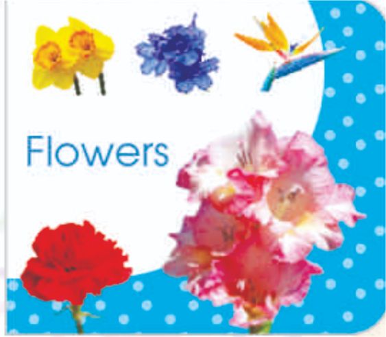 Art Factory Flowers Board Book