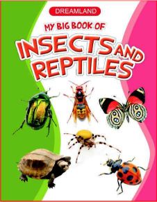 Dreamland My Big Book of Insects & Reptiles