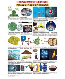 Dreamland Carbon, Sulphur & Phosphorus Hanging Chart