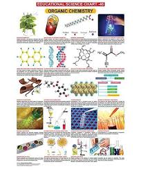 Dreamland Organic Chemistry Hanging Chart