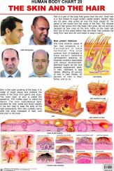 Dreamland The Hair & the Skin Hanging Chart