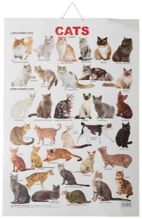 Dreamland Cat Hanging Chart