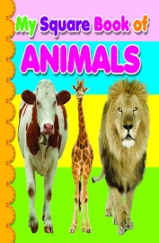 Dreamland My Square Board Book Animals