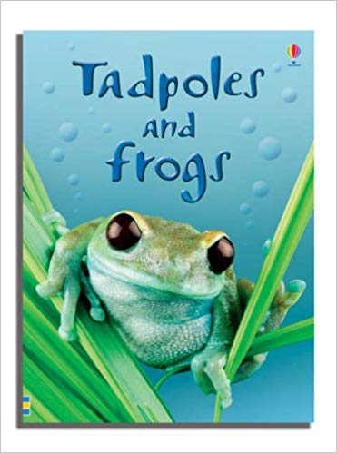 USBORNE TADPOLES AND FROGS