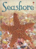 USBORNE SEASHORE