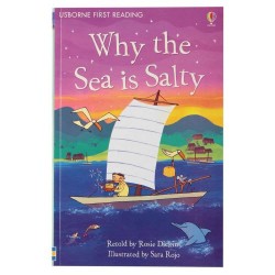 USBORNE WHY THE SEA IS SALTY