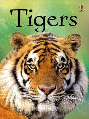 USBORNE TIGERS