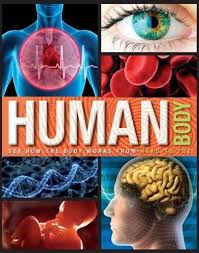 PARRAGON BOOK HUMAN BODY