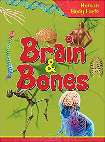 OM KIDZ Human Body Facts: Brains & Bones