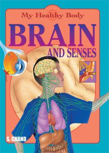 SChand Brain and Senses